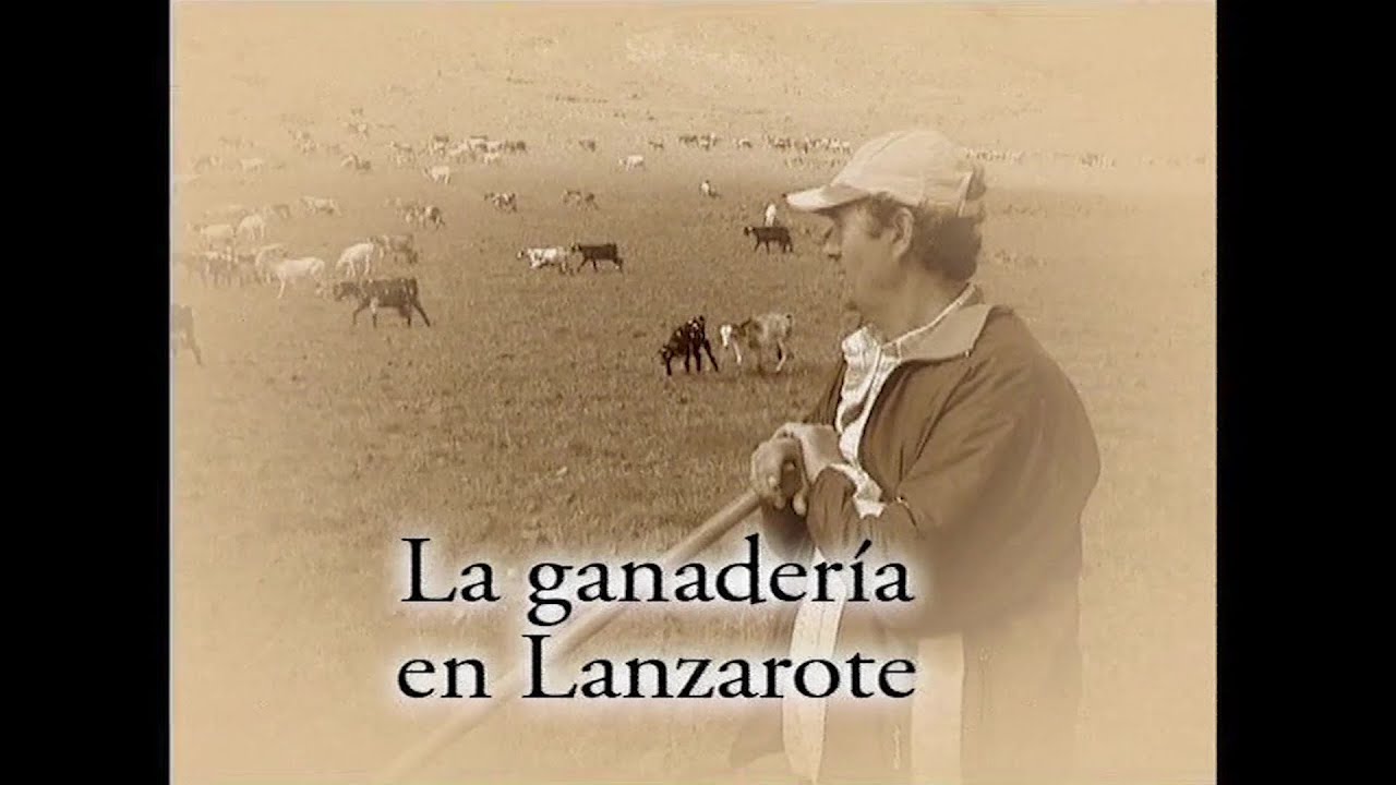 La ganadería en Lanzarote (2006)