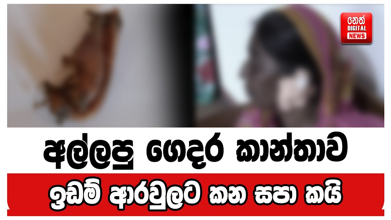 අල්ලපු ගෙදර කාන්තාව, ඉඩම් ආරවුලට කන සපා කයි
