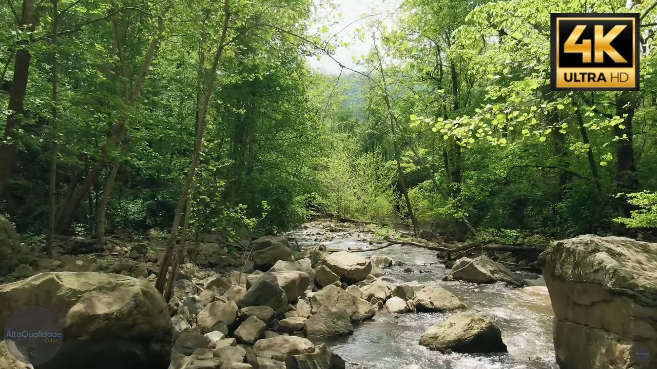 [NATUREZA] - Filmagem na floresta com rio em Alta Qualidade com Drone - [4K]