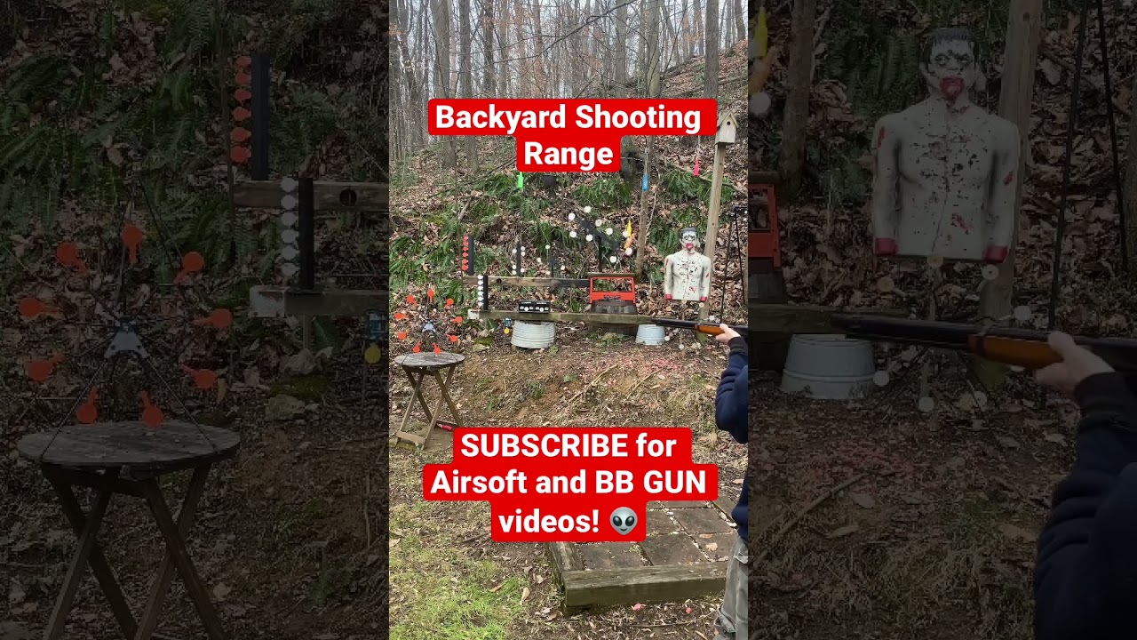 Backyard Shooting Range ( Airsoft and BB Gun ) 
