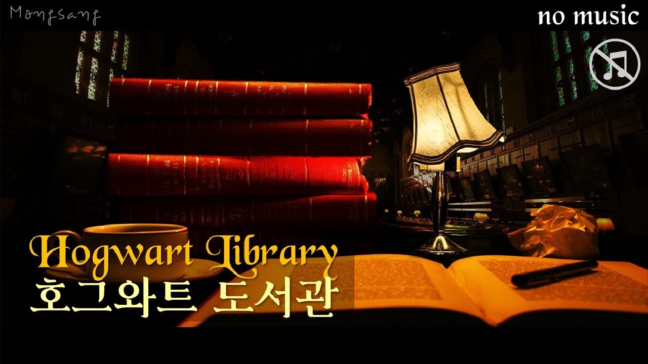 ASMR 시험기간 호그와트 도서관 📜 해리포터 입체음향 (feat. 기숙사별 공부를 대하는 자세)