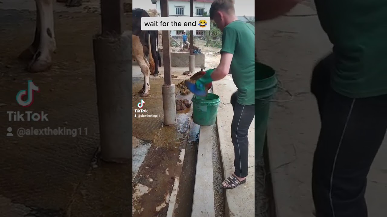 tiktok video in viral song (2078 )