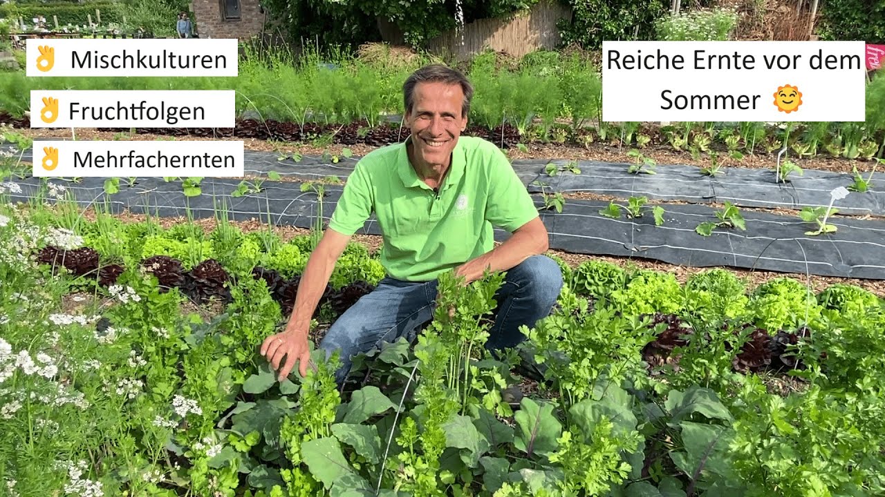 Kiloweise Frisch-Gemüse Mitte Mai 🥬 Mischkulturen & Profi-Tipps für Mehrfachernten!