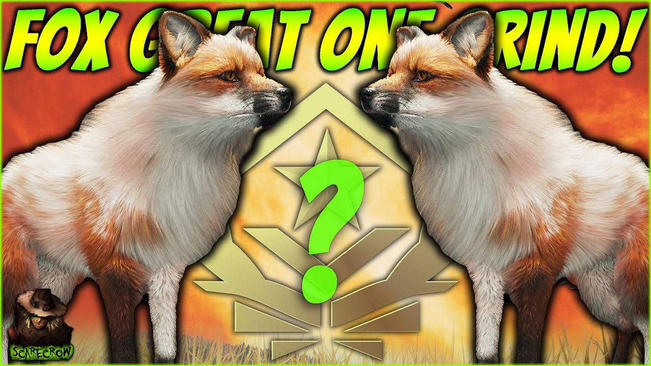 2 Piebald Red Fox On The Emerald Coast Great One Fox Grind! Call of the wild