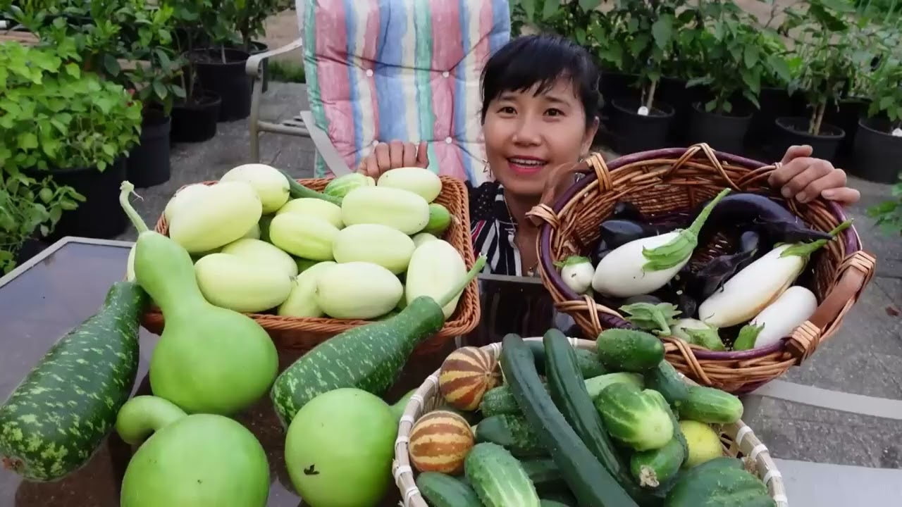 FULL VIDEO ,THU HOẠCH BẦU HỒ LÔ,DƯA LEO TRỨNG RỒNG, CÀ TRẮNG, DƯA LEO HÀN NHẬT
