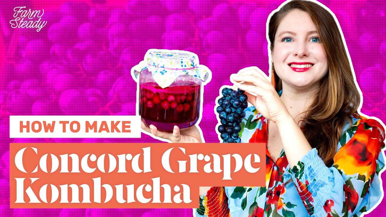 How to Make Concord Grape Kombucha