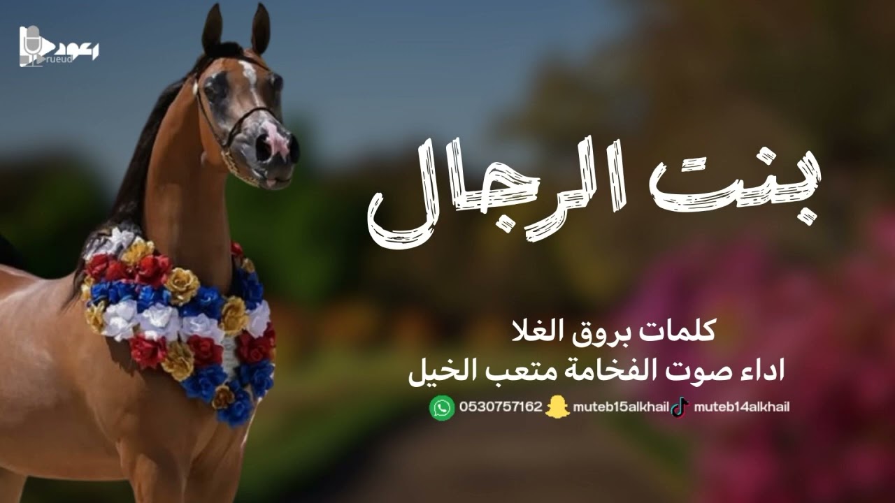 شيلة بنت الرجال آداء صوت الفخامه متعب الخيل جديد2025حصرياً