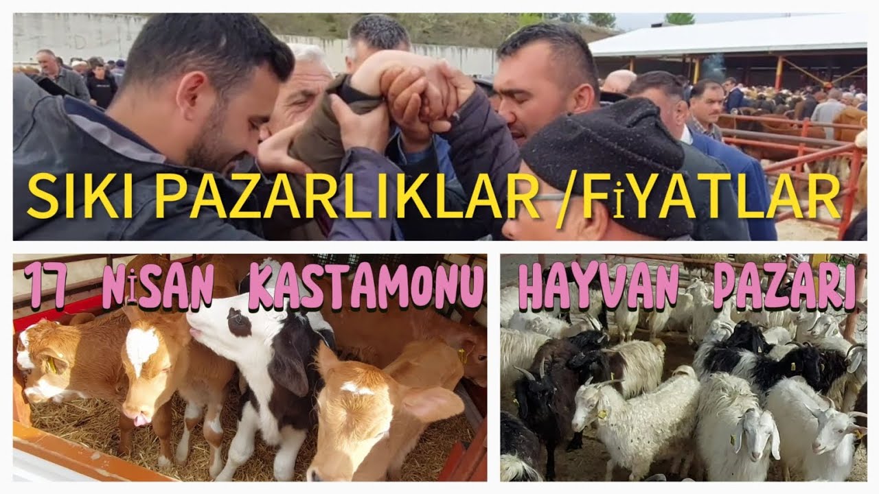 17 NİSAN ÇARŞAMBA KASTAMONU HAYVAN PAZARI/ YEPYENİ FİYATLAR /PAZARLIKLAR