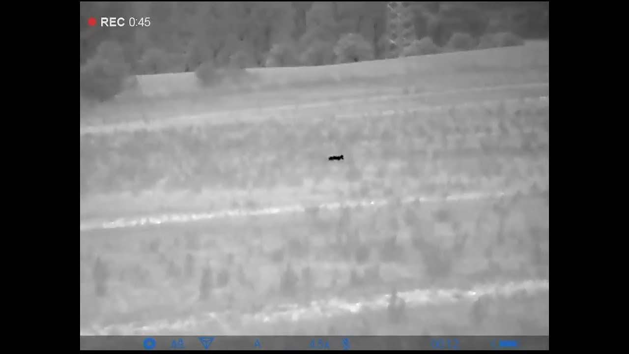 Jagd auf Raubwild - Fuchsjagd 