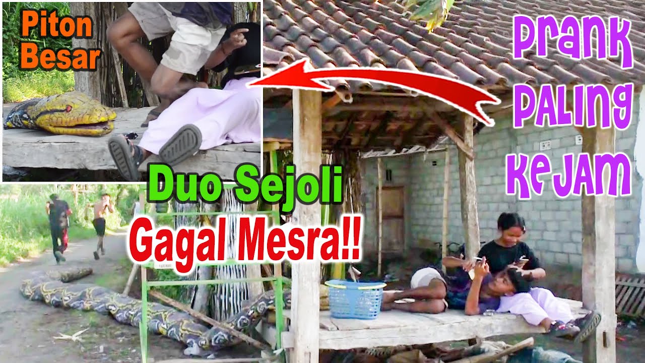 Prank Ular Paling Lucu || Dua Sejoli Lari ketakutan akibat kena prank ular piton raksasa