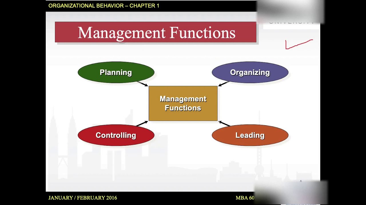 المحاضرة الأهم في القناة 🔥| ٤٥ دقيقة لازم تشوفهم كلهم ⏰ استمتع|  Organizational Behaviour