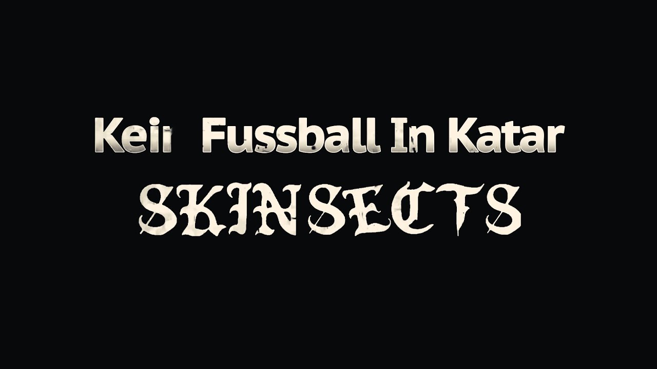 Skinsects - Kein Fussball In Katar (new song)