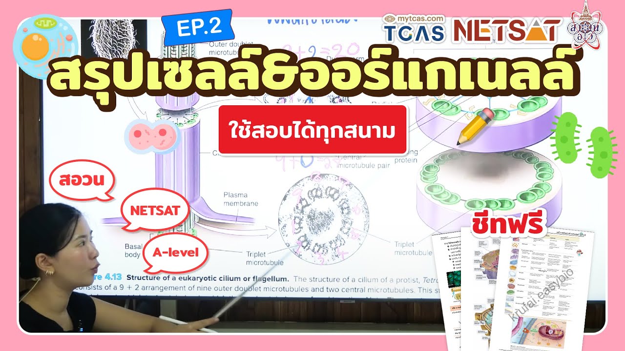 เซลล์และออร์แกเนลล์ EP. 2