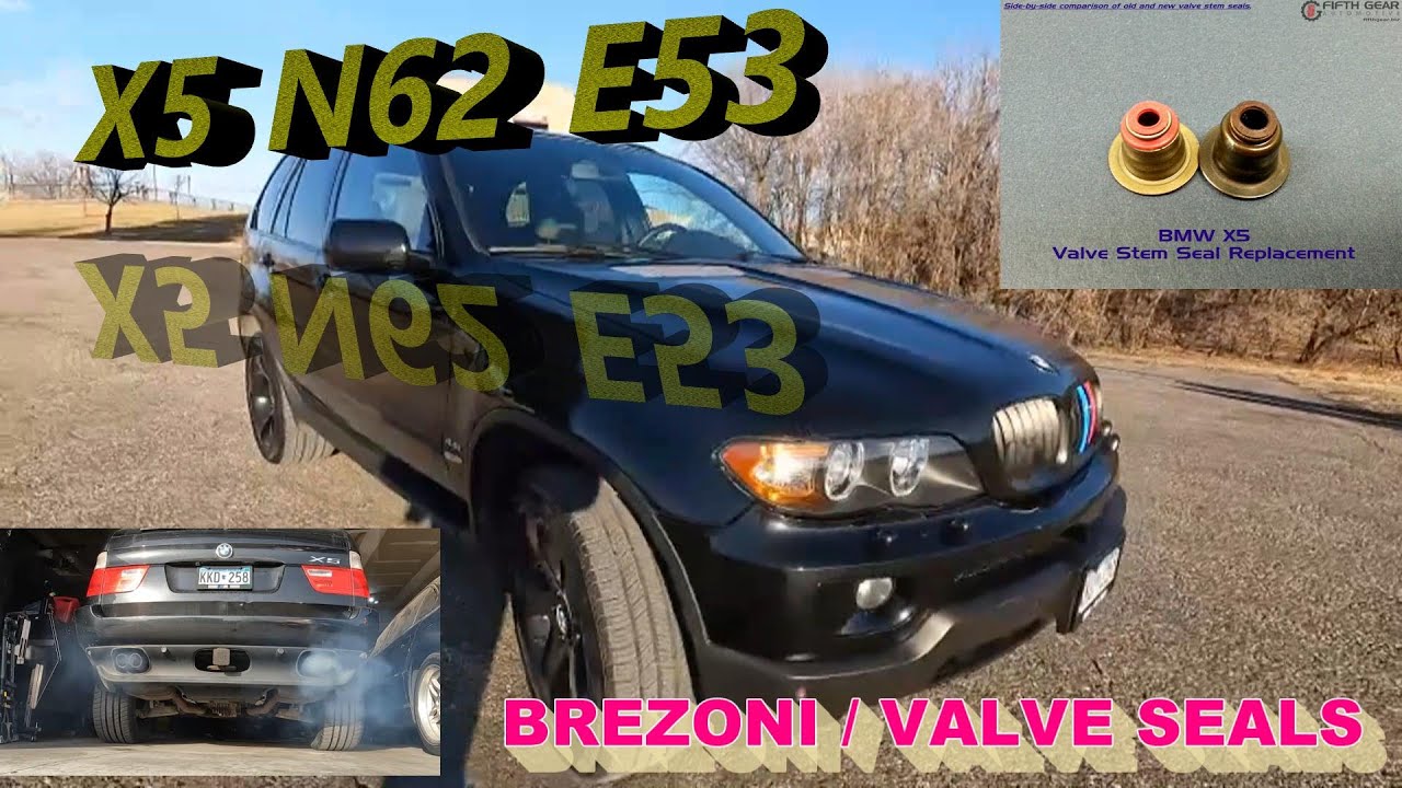 X5 N62 E53 BMW TROSI ULJE / BREZONI, VALVE STEM SEALS !