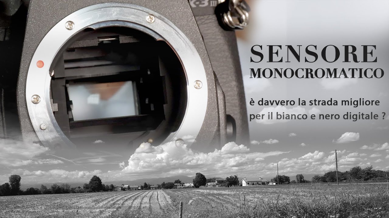 il sensore monocromatico offre il migliore bianco e nero digitale ?