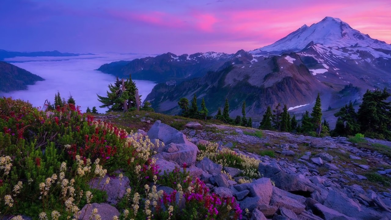 Loreena McKennitt. Wild Mountain Thyme (Live)