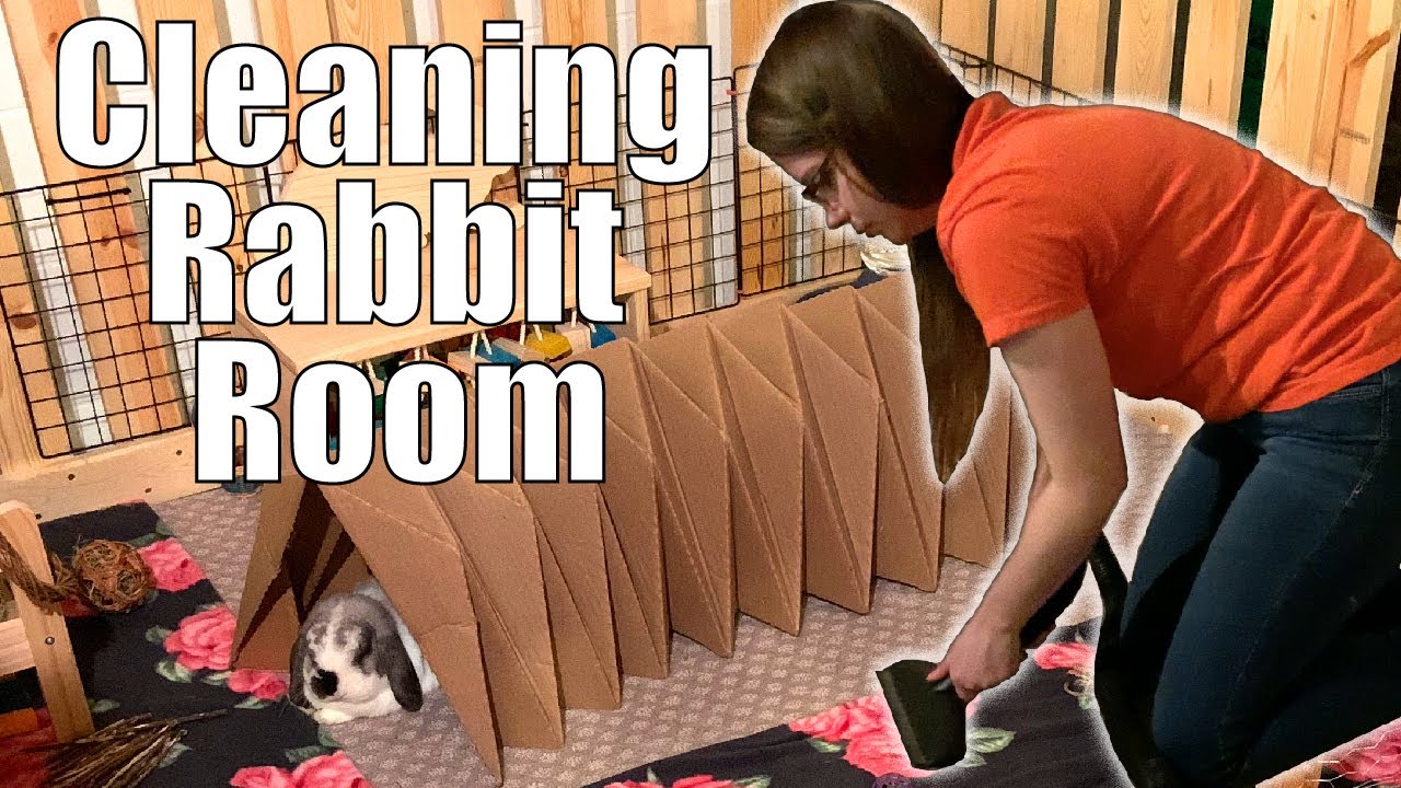 CLEAN WITH ME BUNNY EDITION: Weekly Rabbit Room Deep Clean Routine | Updated Version