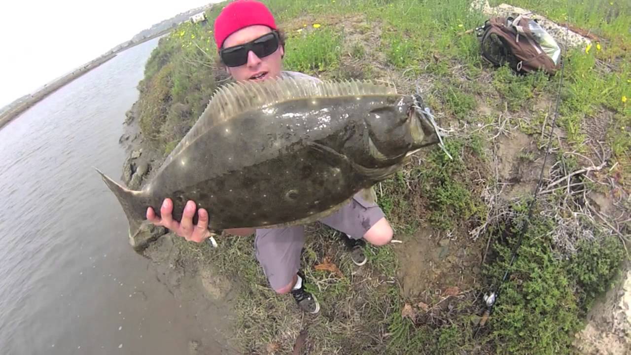 Slaying Calico Bass