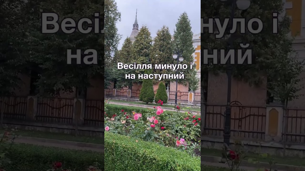 Подруга принесла замало грошей на весілля