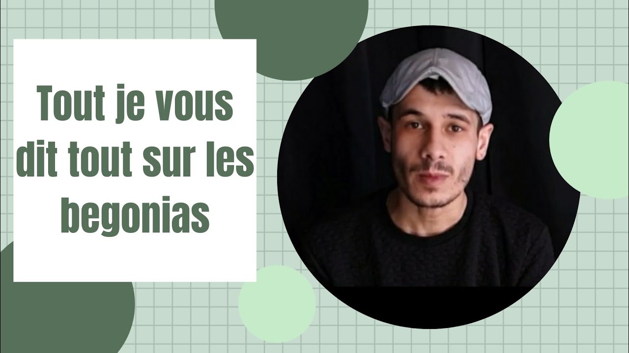 Tout sur le Begonia ! 