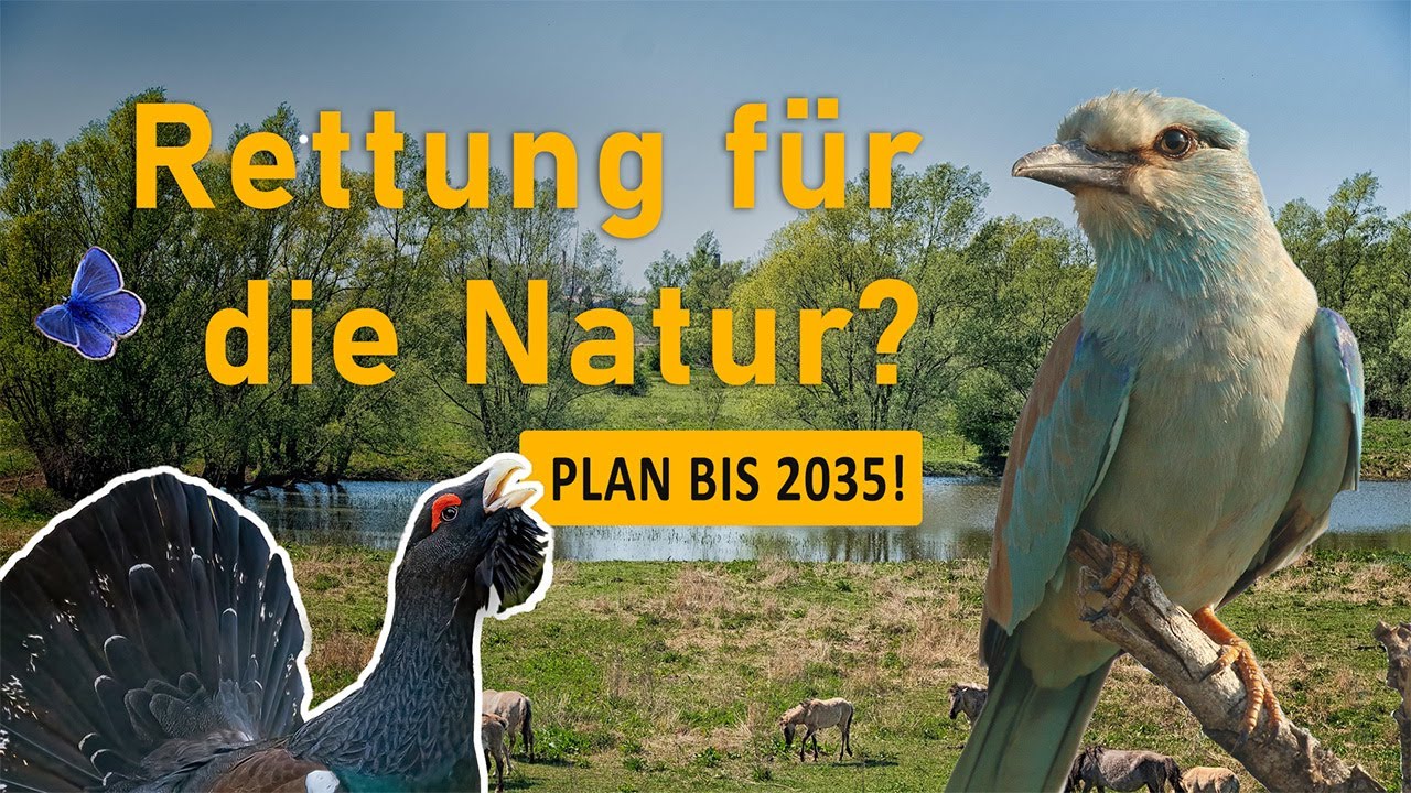 Rettung f&uuml;r die Artenvielfalt? Der Masterplan bis 2035