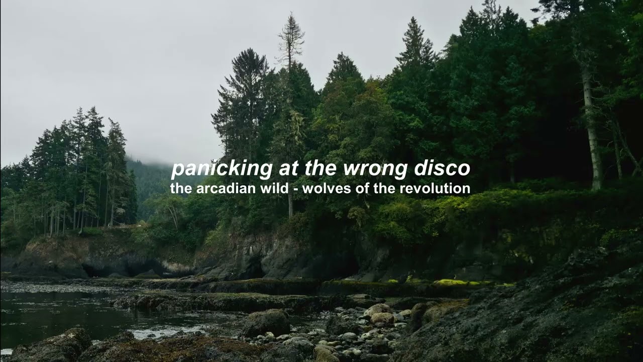 playlist | a sleepy forest in the pacific northwest | rain ambience + moody songs