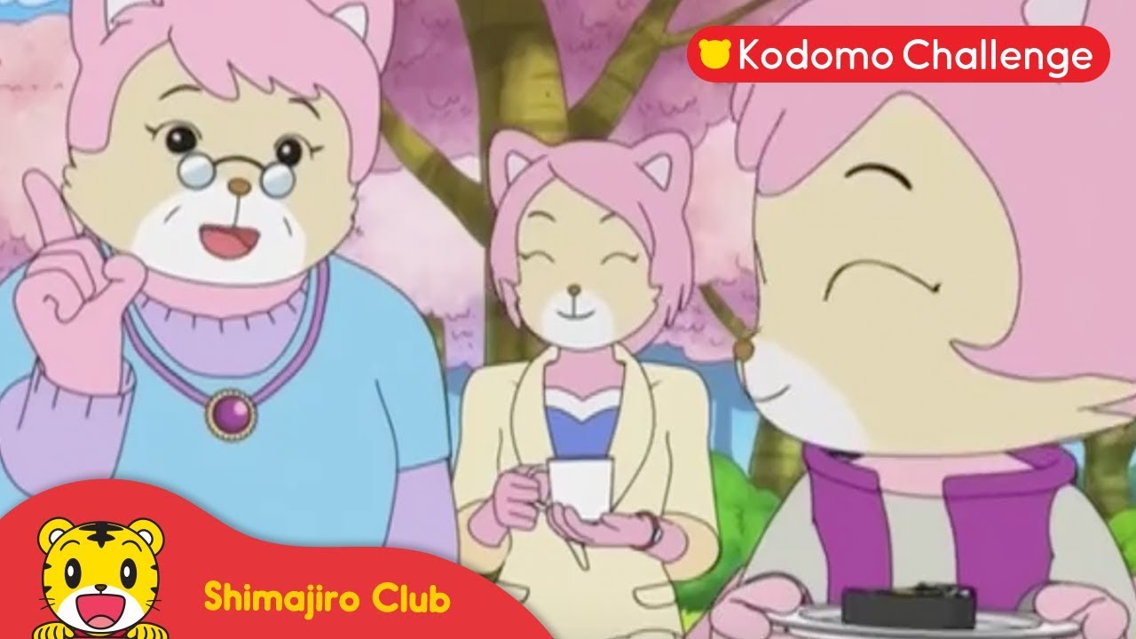 Shimajiro | Pendidikan Anak | Piknik Melihat Bunga Ep. 33.1 - Kodomo Challenge