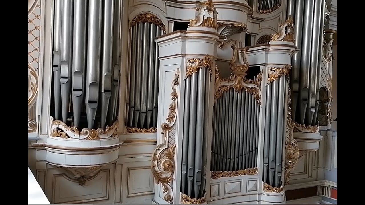 Die van Dam Orgel in Marienbaum - ein Kurzporträt