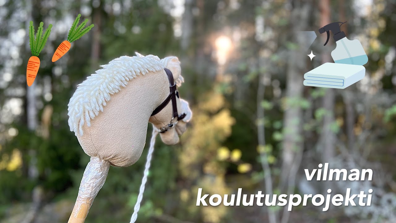 Kesäinen koulutuspäivä 🌤️🌱 | Vilman koulutusprojekti osa 4