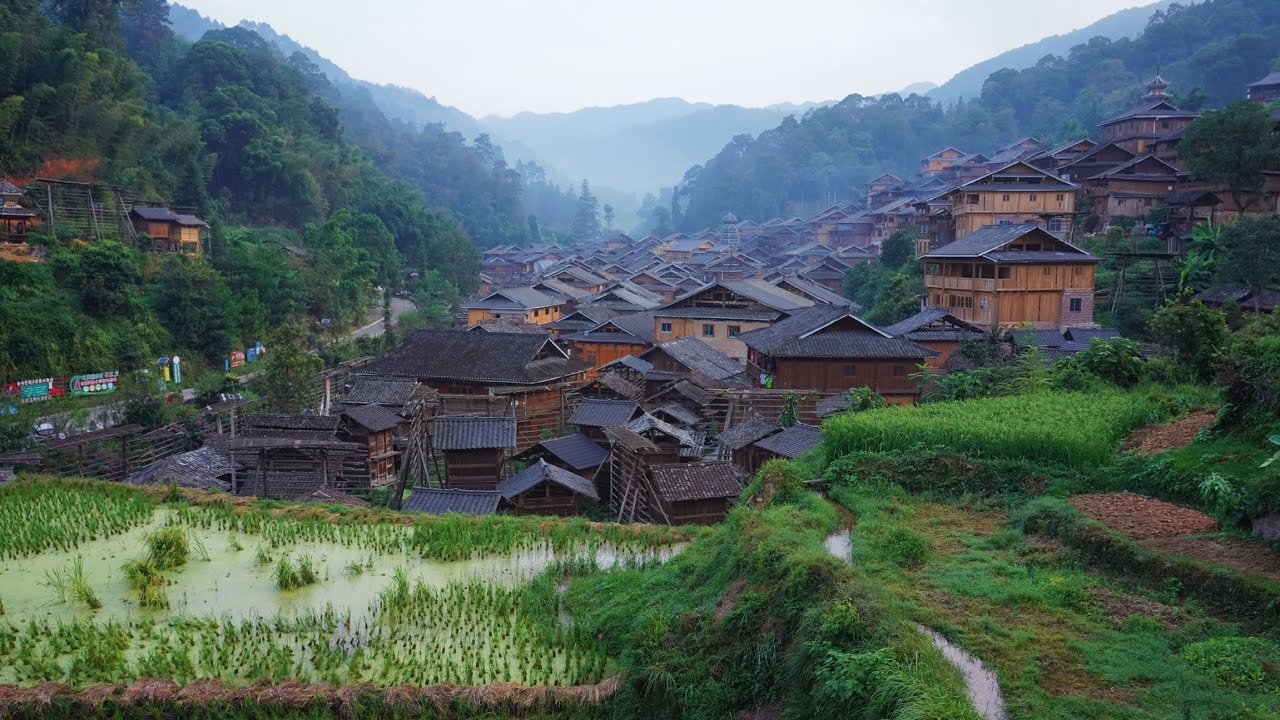 A Peaceful Day in a Chinese Village | Cooking, Rice Fields & Village Life in Congjiang