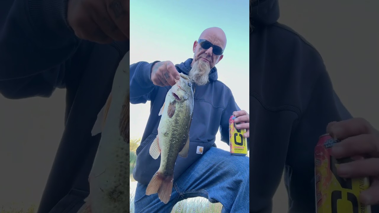 Caught These Phat Ass Bass 🐈💋💨 On The First Cast With A Buzz Bait, Hell Ya👊🏻 🔥Nigga😤What🔥