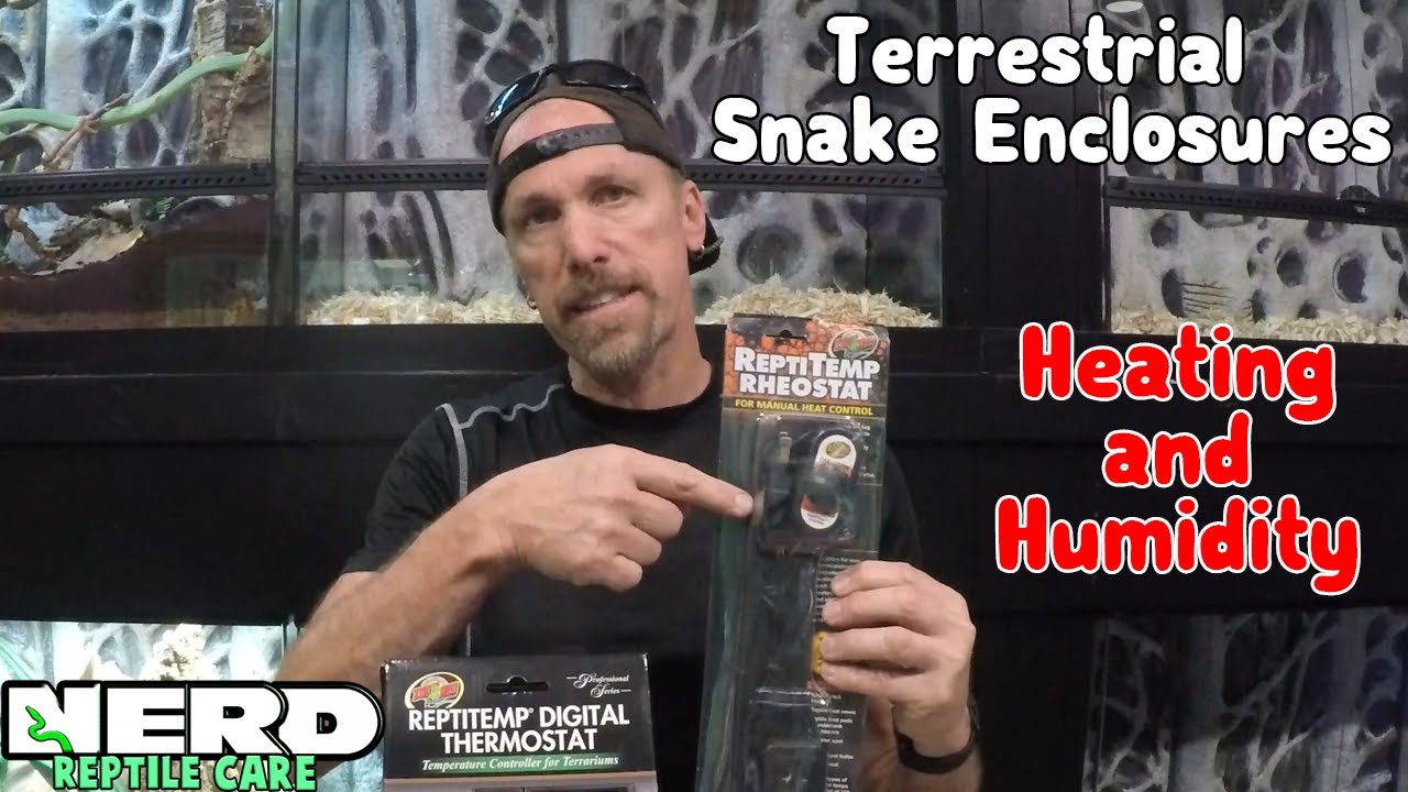 SNAKE ENCLOSURES - TERRESTRIAL SNAKES - HEATING + HUMIDITY ( PART 1)
