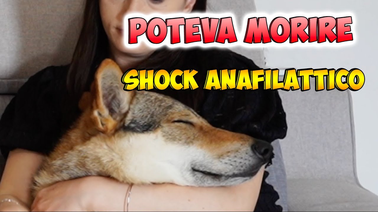 Stava per morire il cane | Shock anafilattico collare antiparassitario