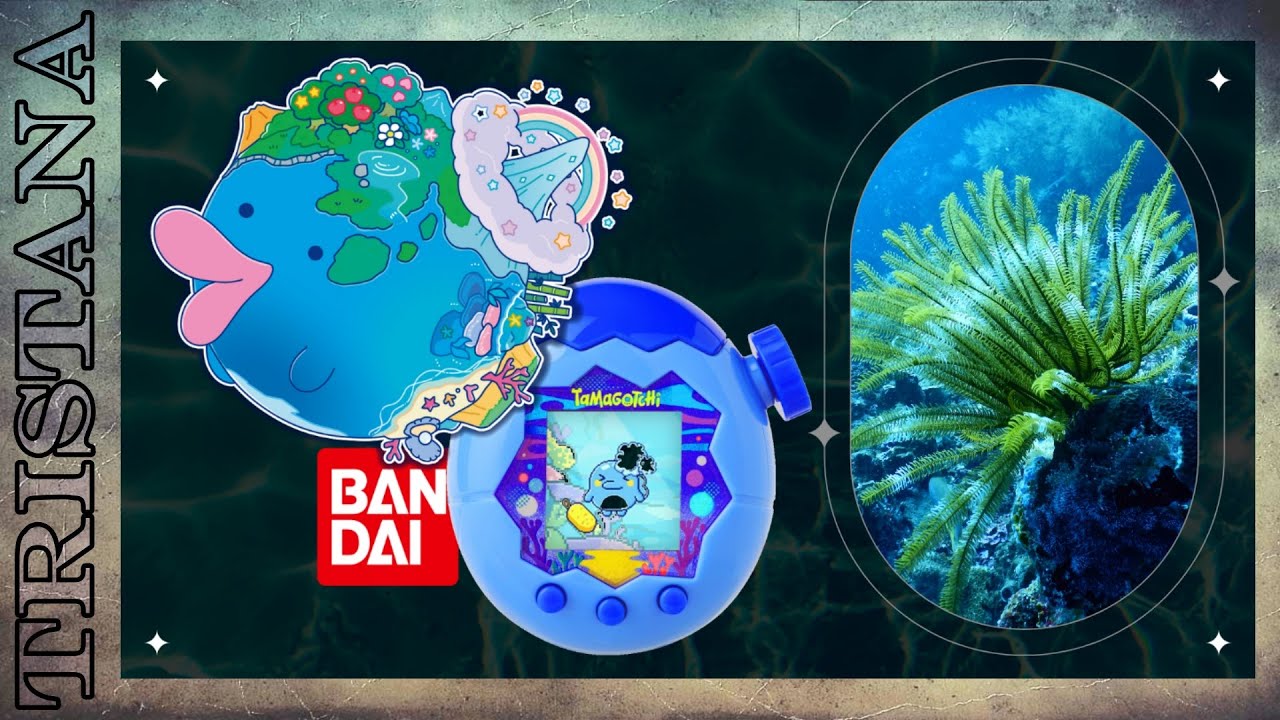 Démonstration du Tamagotchi PARADIS - BLEU - Le ZOOM 🏖️