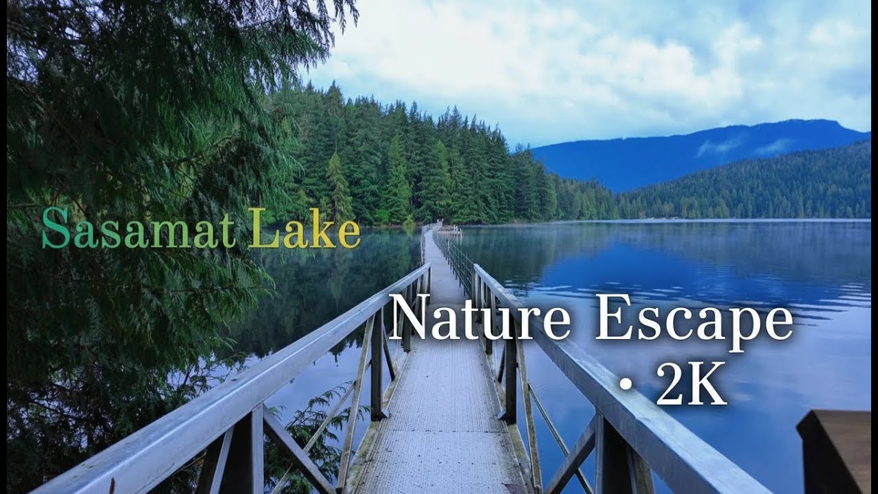 Beautiful Sasamat Lake Walk | Calm 2K Nature Ambience in BC, Canada