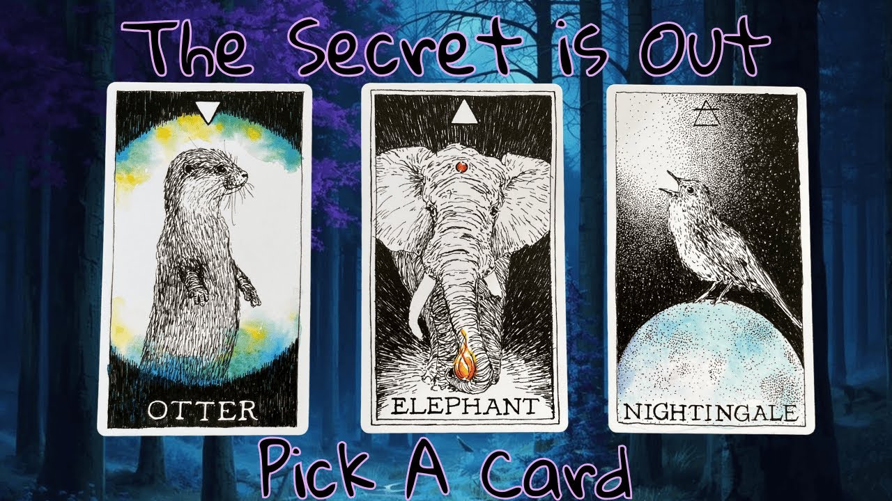 What's Being Hidden From You? Pick A Card