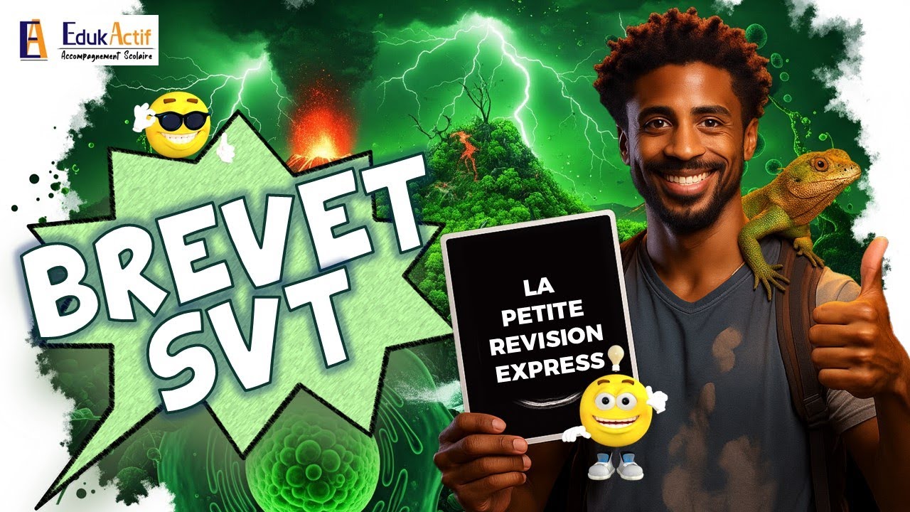 Révision Express SVT Brevet : On se prépare pour l'examen en 13 minutes.