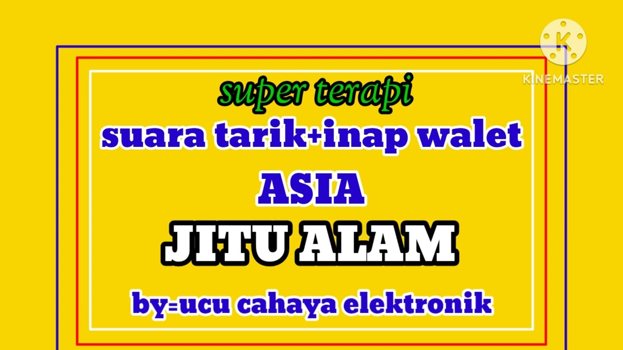 suara terapi inapkan walet ini sangat ampuh dapat menginapkan burung walet dalam waktu dekat