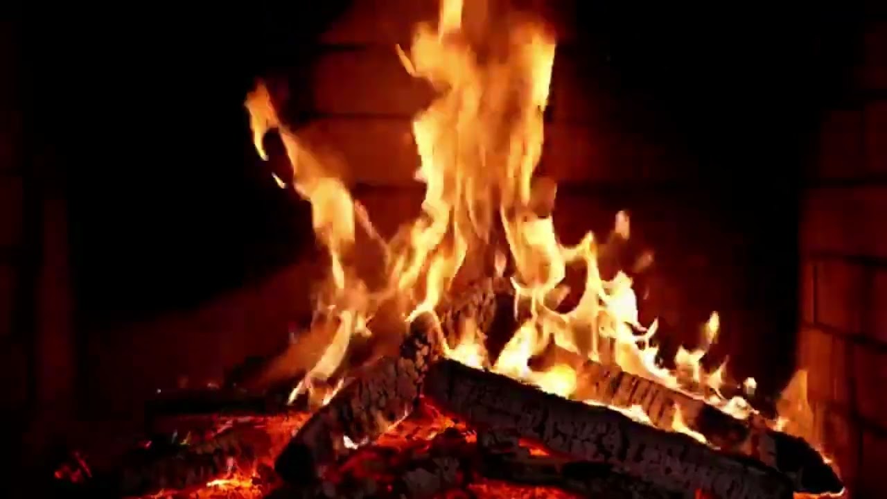 My Video1