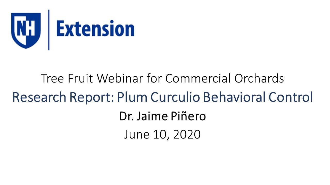 Tree Fruit Webinar: Behavioral Controls for Plum Curculio