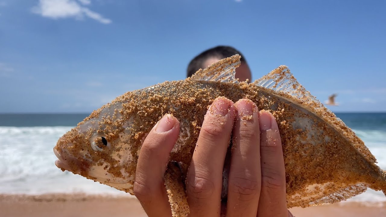 Full Day of Fishing at Narrabeen Beach!