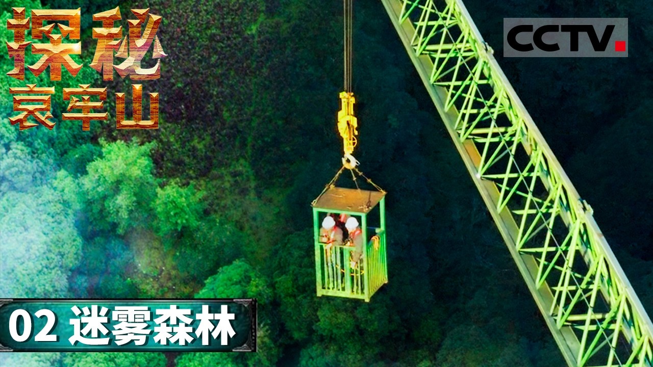 《自然中国之探秘哀牢山》02 迷雾森林：从山脚到山巅 一个完整的植被垂直带谱在此展开 探寻“植物基因库”的生命奥秘！【CCTV纪录】