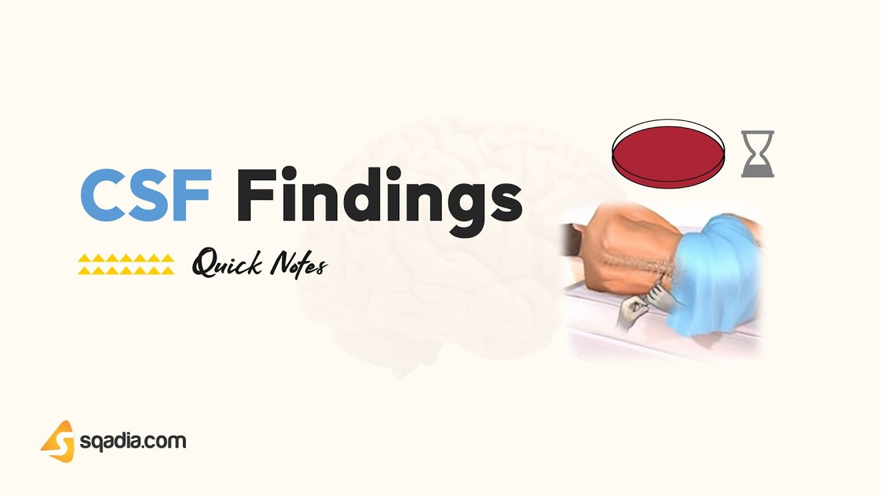 CSF in Meningitis | CSF Findings | Symptoms, Pathogenesis, Microbiology | Infectious Medicine