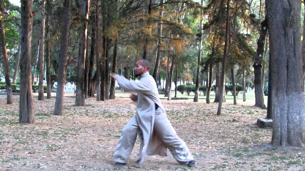 Choy Lee Fut Kung Fu 1ra Secuencia de postura