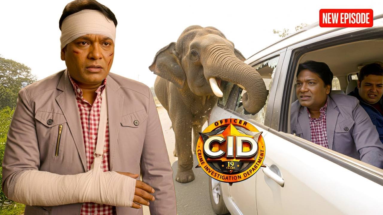 Cid ​​टीम पर किया हाथी ने हमला Abhijeet हुआ जख्मी  || CID | Latest Episode ||