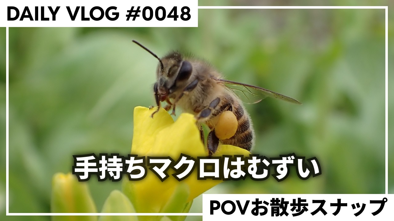 マクロ撮影の難しさと楽しさ。TG-7で身近な自然を切り取る【毎日VLOG 0048】