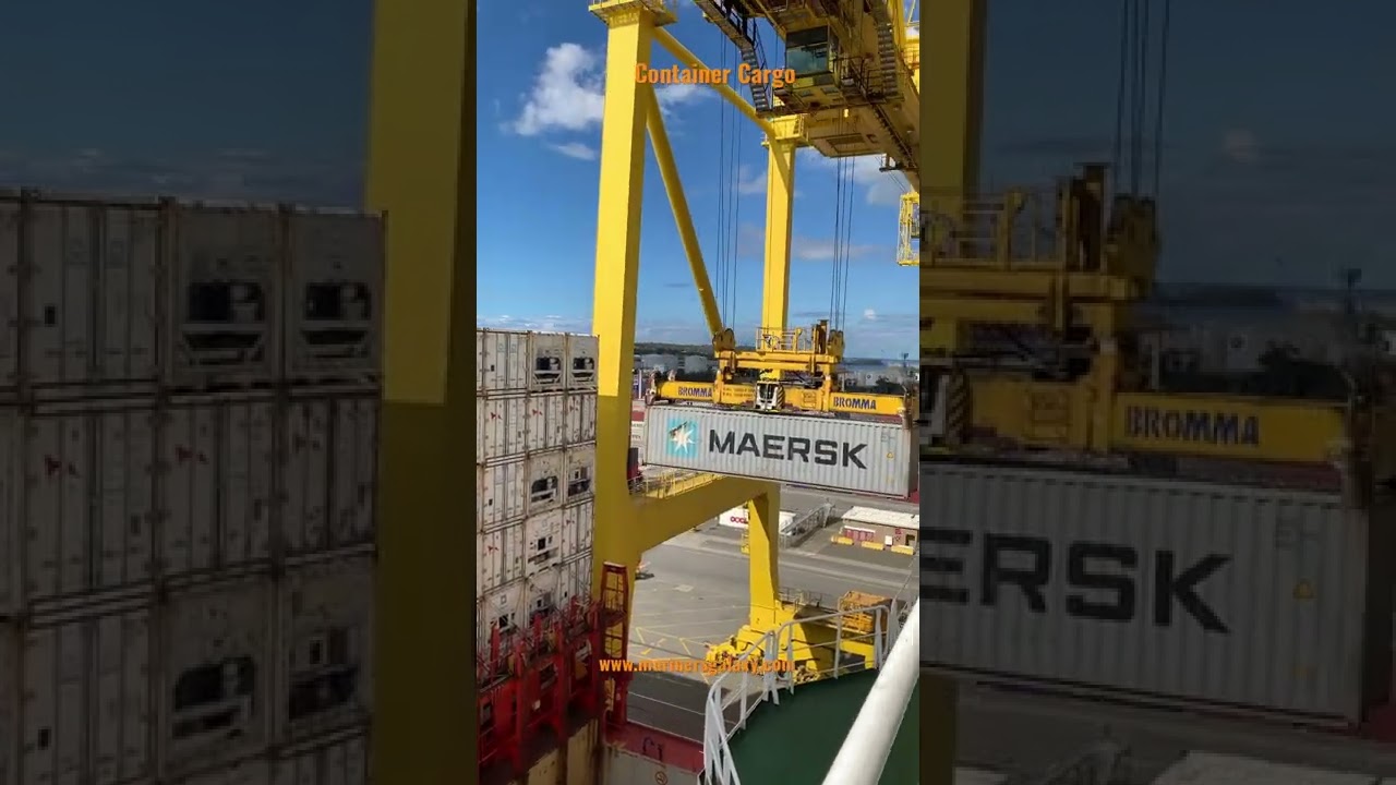 Sydney Container Terminal Cargo Operations, Container Ship At Botany Port Australia #shorts