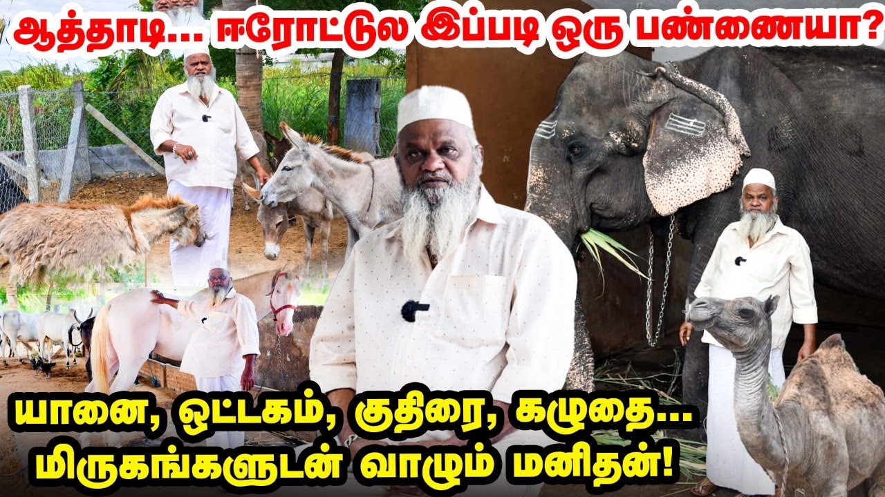 ஆத்தீ  ஒரே பண்ணையில் யானை முதல் ஒட்டகம் வரை | மிருகங்களுடன் வாழும் மனிதன்! | Erode Thajudeen Farm