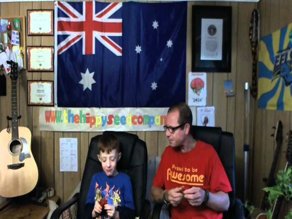 Chilli Tests 