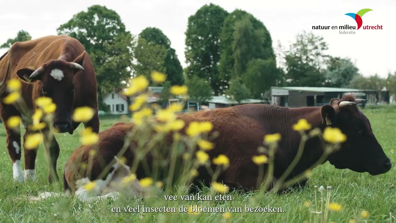 De natuurlijke elementen van het Rivierlandschap
